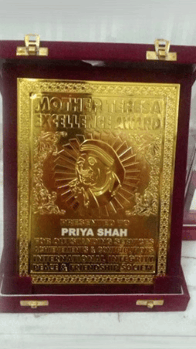 Mother teresa excellence award